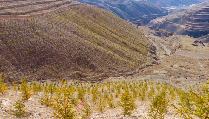 渭河源生態(tài)保護(hù)修復(fù)治理項目：人工造林施工穩(wěn)步推進(jìn)