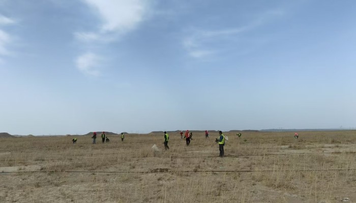 【“三抓三促”行動】不負(fù)春日好時光，全力沖鋒“三北”建設(shè)