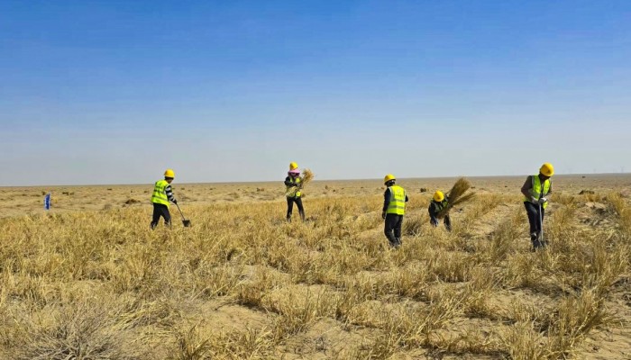 迎風(fēng)奮進(jìn) 實(shí)干爭先--酒泉市黑河中游防沙治沙林草綜合治理項目建設(shè)按下“快進(jìn)鍵”