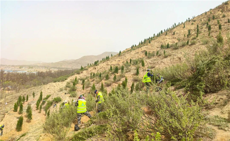 640_副本1.jpg 640_副本1.jpg