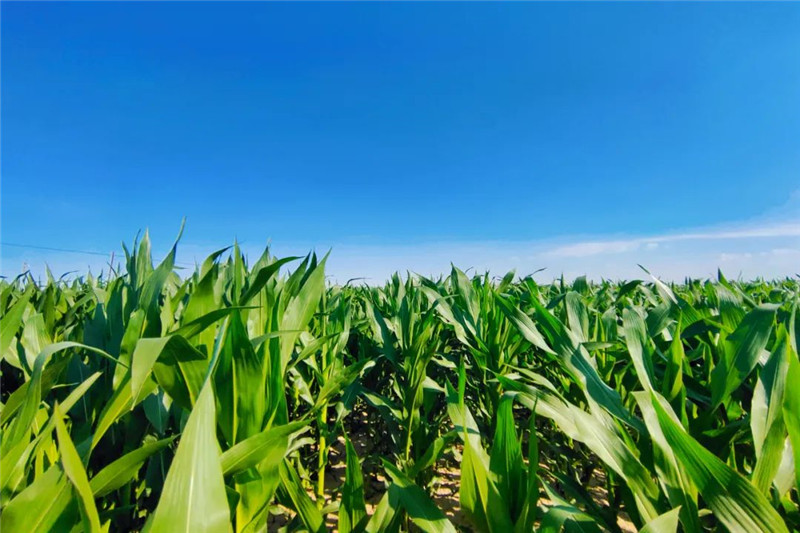 640 (3).jpg 640 (3).jpg