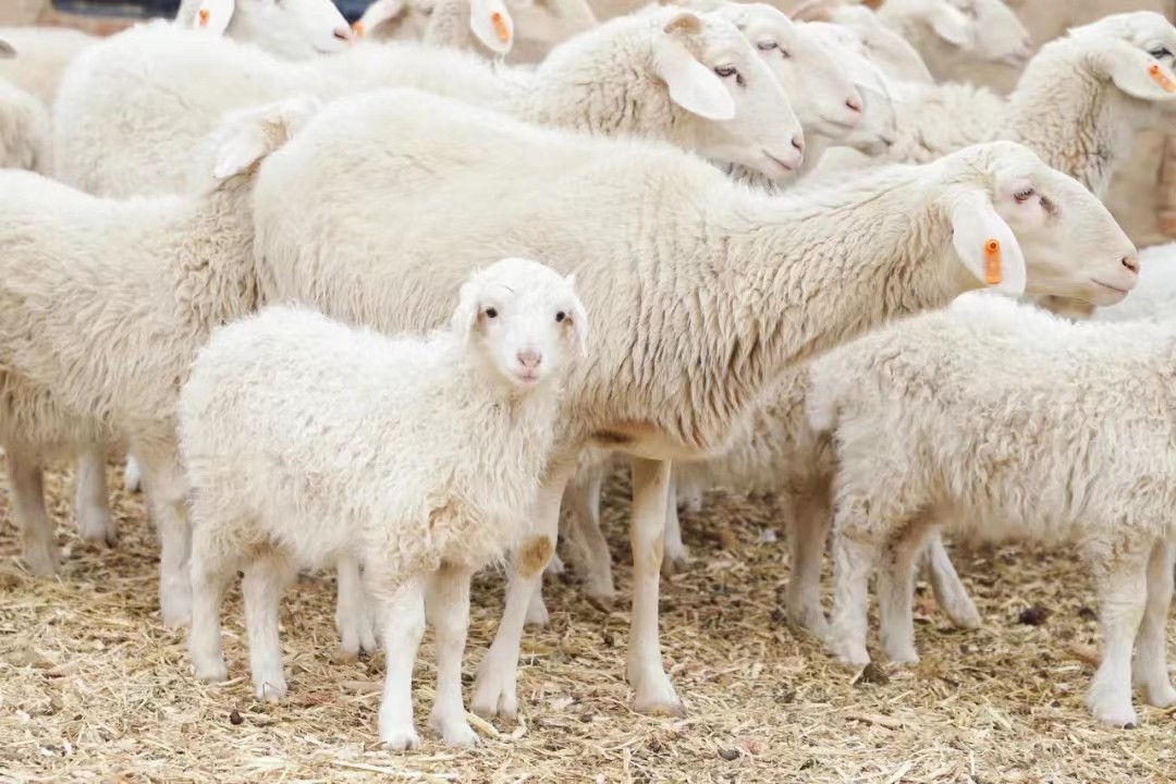 804a07702c5b7c3f644605ab379361c.jpg 804a07702c5b7c3f644605ab379361c.jpg