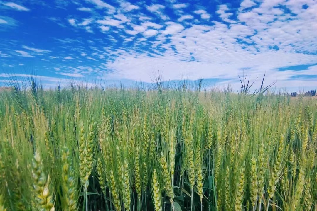 42e7262303ce6fc9fc9b83aa643481c.jpg 42e7262303ce6fc9fc9b83aa643481c.jpg